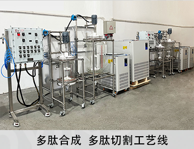 中试多肽合成一条线固相釜