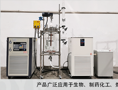 双层玻璃反应釜