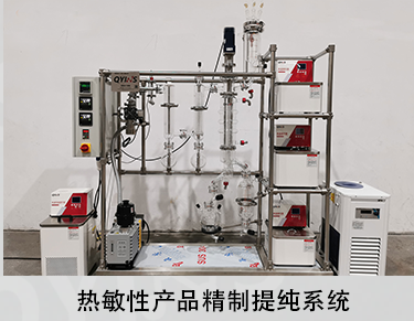 夹套全包 短程0.1~1平方玻璃分子蒸馏